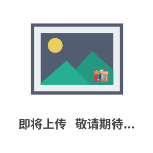 BZC3391C上海變壓器直流電阻測(cè)試儀